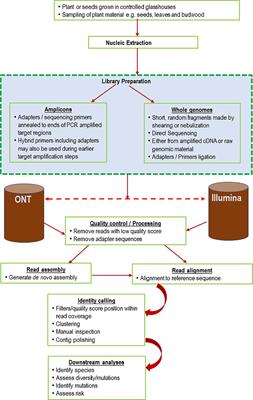 High-throughput sequencing for plant virology diagnostics and its potential in plant health certification